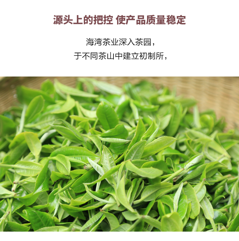 普洱茶熟茶饼茶,9978经典系列357g勐海味道(图2)