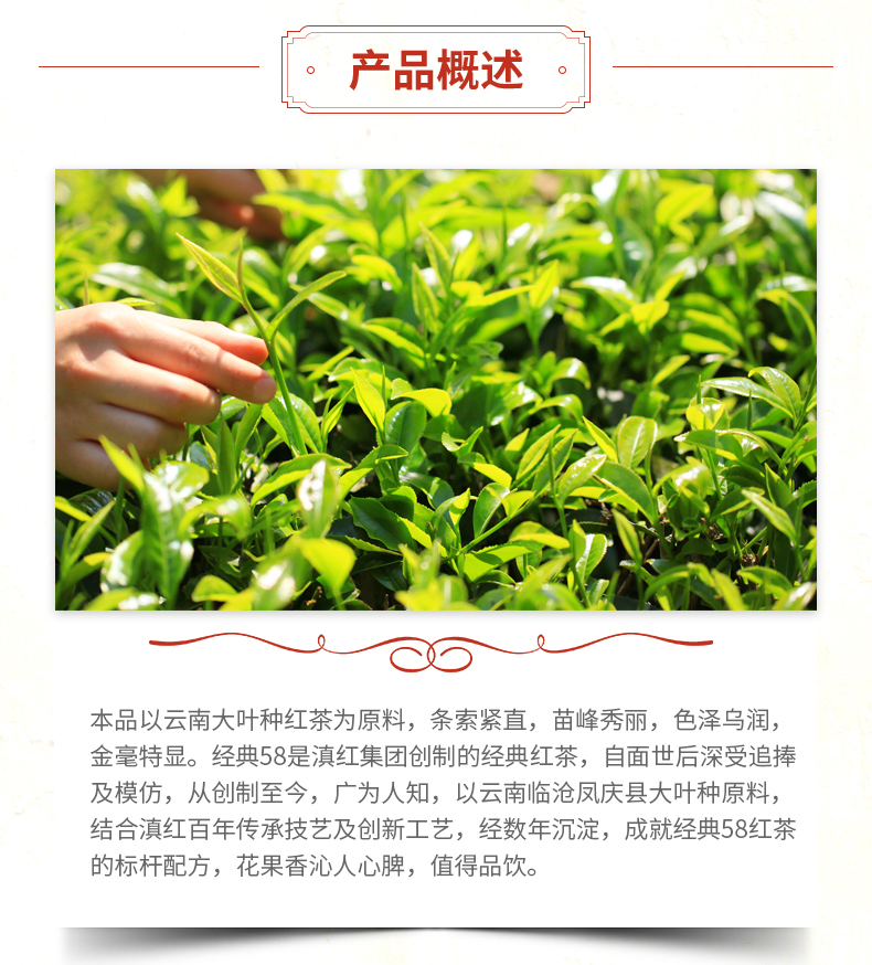 滇红茶,经典58,特级工夫红茶380克(图3)